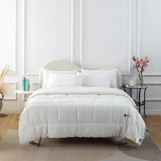 【远梦】澳洲羊羔毛双绒被 商品图0