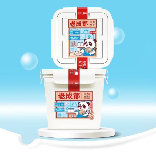 新希望方桶老成都凝酪酸奶发酵乳1kg/盒 商品图4