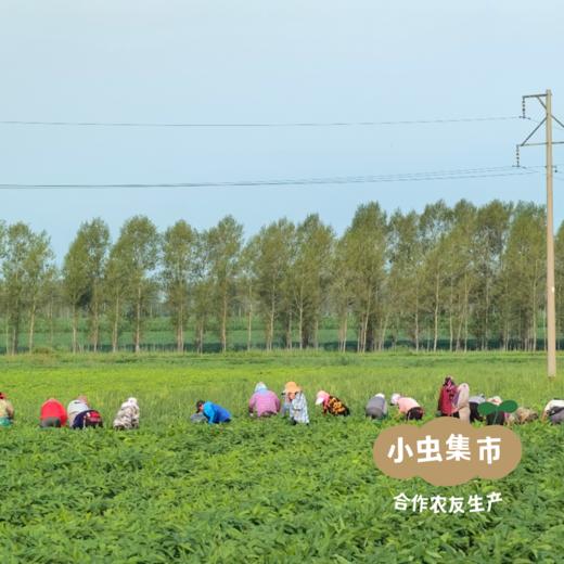 有机腐竹 150g | 合作农友生产，产自黑龙江绥化，生产者：刘福财 &【公平贸易农人定价】 商品图7