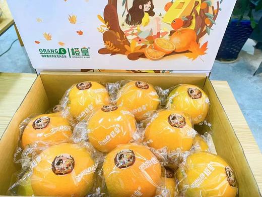 橙皇脐橙（10斤装） 商品图0