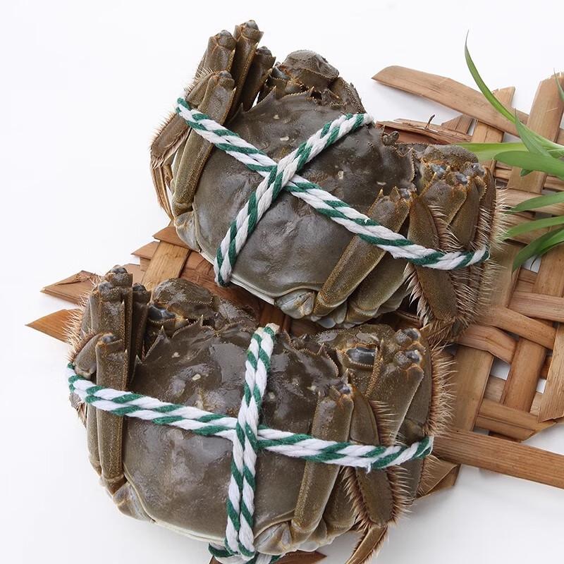 苏州大闸蟹（母）约3.0-3.3两（1只） /只