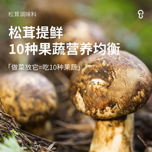 【直发】松鲜鲜松茸调味料100g*2 商品图4