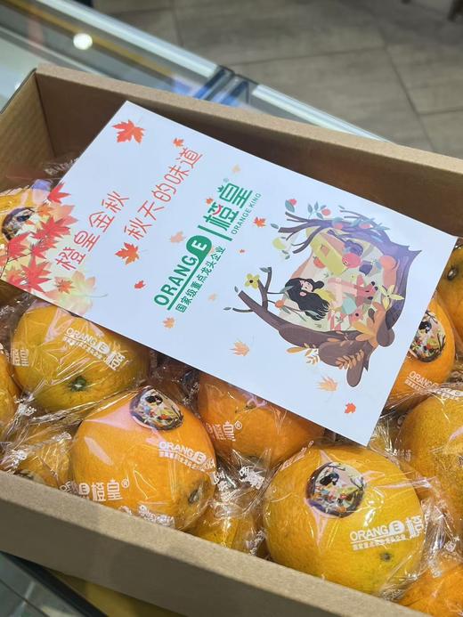 橙皇脐橙（10斤装） 商品图1