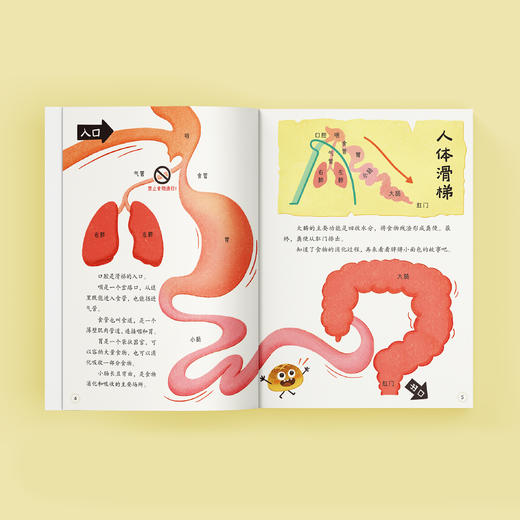 《发生在人体里的科普童话》（共6册） 商品图2