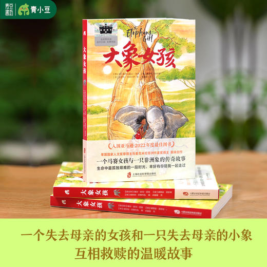 《大象女孩》 商品图2