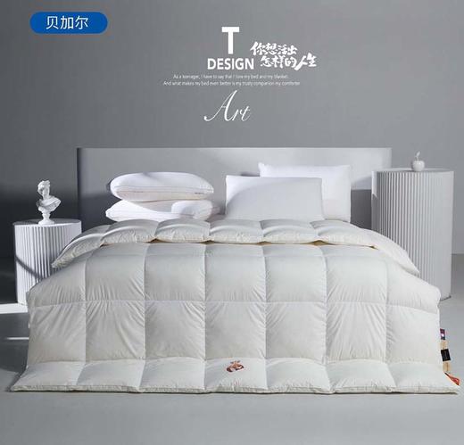 进口95白鹅绒被四季通用被子冬被加厚保暖羽绒被 石墨烯无痕 商品图4