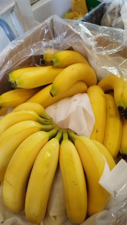 菲律宾香蕉（散） 商品图1