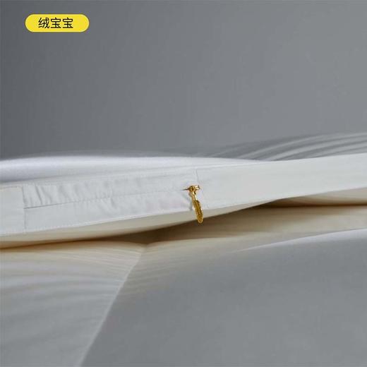 进口95白鹅绒被四季通用被子冬被加厚保暖羽绒被 石墨烯无痕 商品图11