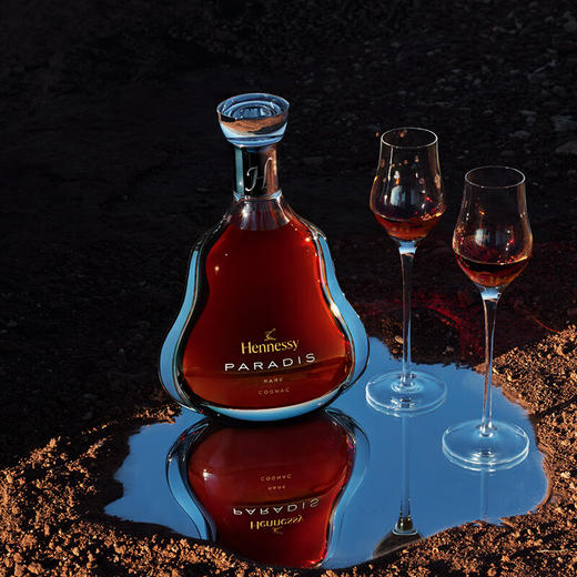 轩尼诗 百乐廷 干邑白兰地700ml 商品图3