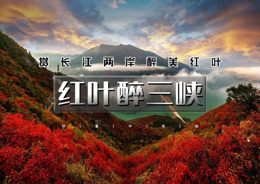 【红叶醉三峡5日】从上帝视角俯瞰巴楚风韵の文峰观-巫山夜游-三峡之巅-白帝城-神女天路 商品图0