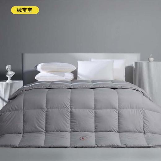 进口95白鹅绒被四季通用被子冬被加厚保暖羽绒被 石墨烯无痕 商品图9