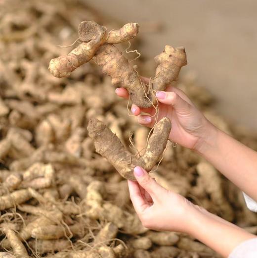 【奕虹泰山溯源-九蒸九晒即食黄精，蒸晒制作超过50天，香甜软糯  400g/袋 家庭装】 商品图9