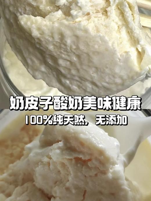 酸奶+奶皮子！内蒙古【手工奶皮子酸奶】100%纯天然 浓郁奶香 醇厚丝滑 超厚奶皮 纯手工制作 早餐下午茶的绝佳伴侣！ 商品图7