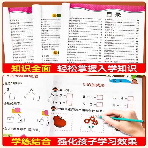幼小衔接入学准备.识字幼升小 商品图2