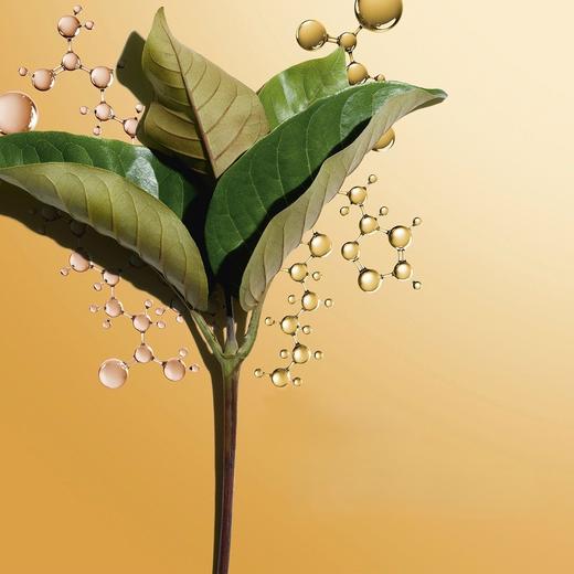 【保税仓】娇韵诗Clarins第九代双萃焕活修护精华50ml滋润版（效期27年6月以后） 商品图2