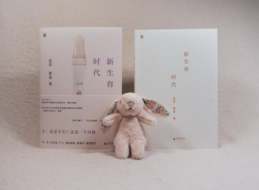新生育时代 沈洋、蒋莱 著 商品图5