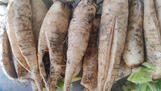 【瑕疵专区】品相不精致但不影响口感的精致哦，生鲜特价产品，拍完即止，不定时上架，不能延迟2天以上发货哦 商品图9