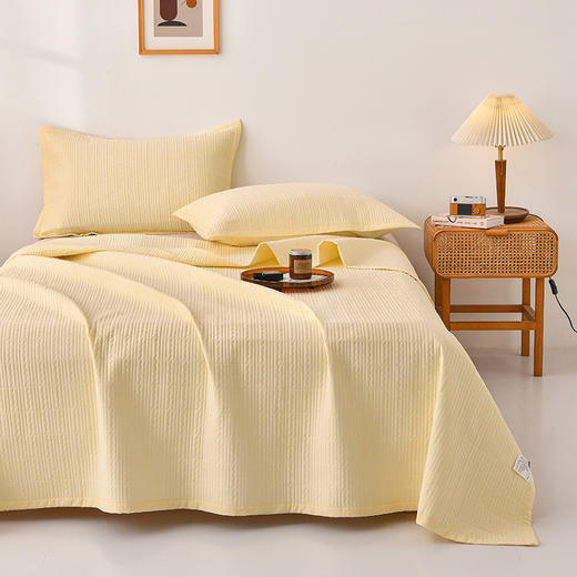 【全棉夹棉四季盖毯】水洗棉床盖纯色床单全棉夹棉床盖四季盖毯床盖可机洗 商品图1