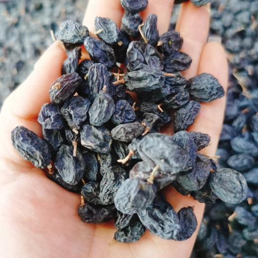 黑加仑葡萄干一斤 商品图1