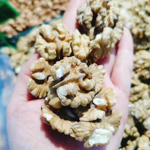 核桃仁一斤 商品图0