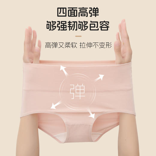 洁丽雅50S高腰女士棉质内裤桑蚕丝抗菌内裆裸感舒适三角裤 商品图2
