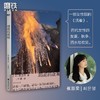 【韩国文学自选合集】素食者 82年生的金智英 白 明亮的夜晚 商品缩略图3