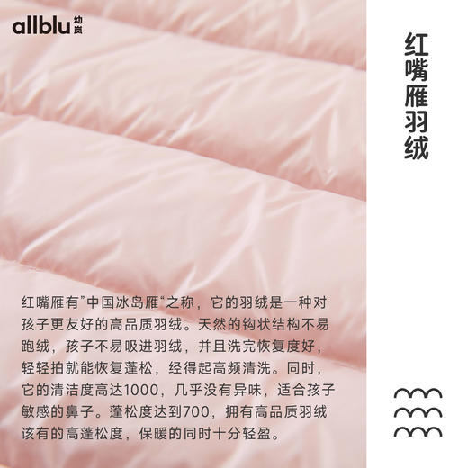 【好友优先抢】0-10°C幼岚红嘴雁面包羽绒服ZY 商品图4