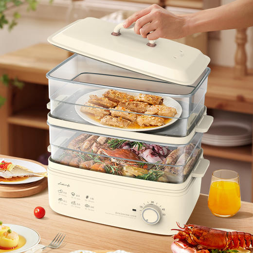 康佳旗下小画仙两层大容量多功能电蒸锅10L LDZL-8088 双层蒸格 高温清洁 商品图0