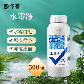 华畜水霉净鱼药鱼塘烂身烂尾水霉病净清消毒杀菌水产养殖治疗