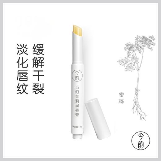缓解干裂 今韵当归茉莉润唇膏 1.9g 商品图0