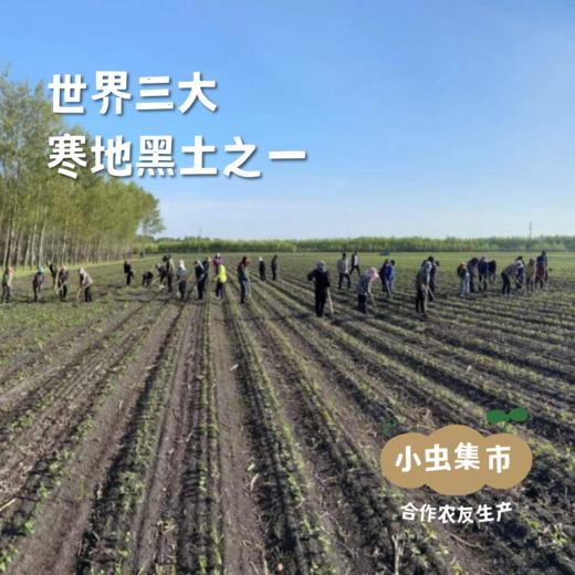 有机腐竹 150g | 合作农友生产，产自黑龙江绥化，生产者：刘福财 &【公平贸易农人定价】 商品图2