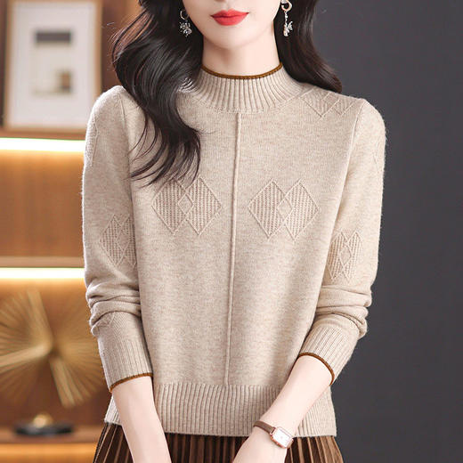 CC-101-51709秋冬季半高领女士保暖宽松内搭设计感厚款小众上衣新款毛衣打底衫 商品图3