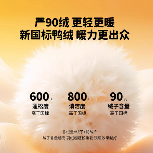 迪士尼小童外衣羽绒系列上衣233DS1109 商品图4