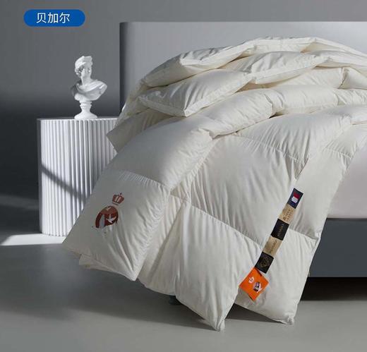 进口95白鹅绒被四季通用被子冬被加厚保暖羽绒被 石墨烯无痕 商品图7