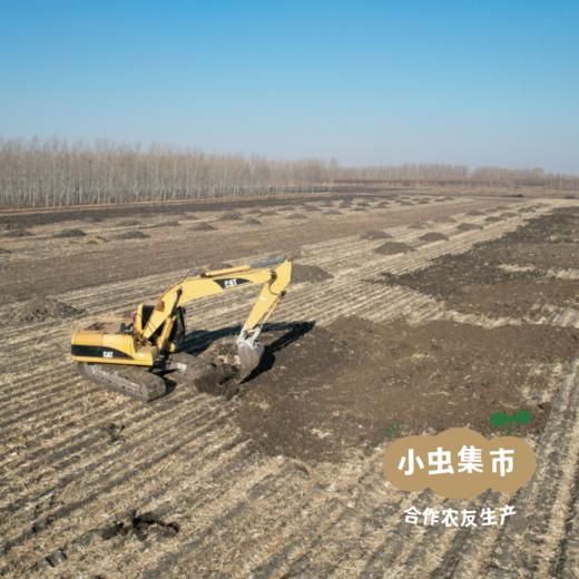 有机腐竹 150g | 合作农友生产，产自黑龙江绥化，生产者：刘福财 &【公平贸易农人定价】 商品图6