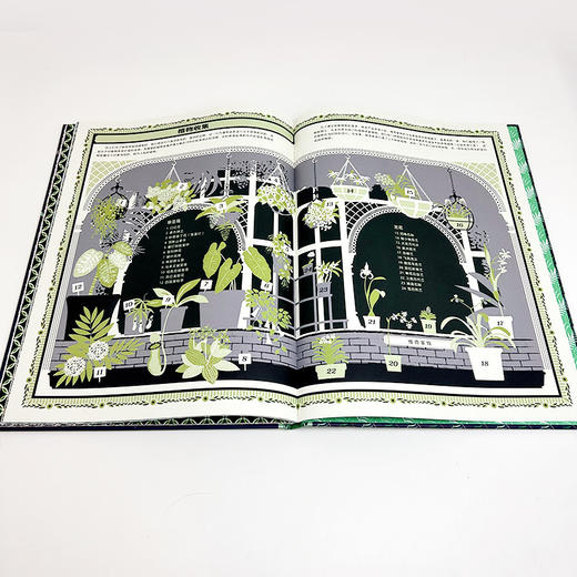 植物：给孩子的30堂自然通识课  8岁+  浪花朵朵 商品图2