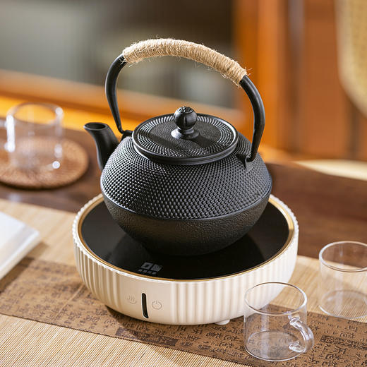 摩登主妇泡茶壶家用煮茶壶围炉煮茶壶户外烧水壶茶具套装铸铁茶壶 商品图0