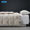 进口95白鹅绒被四季通用被子冬被加厚保暖羽绒被 石墨烯无痕 商品缩略图2