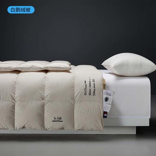 进口95白鹅绒被四季通用被子冬被加厚保暖羽绒被 石墨烯无痕 商品图2