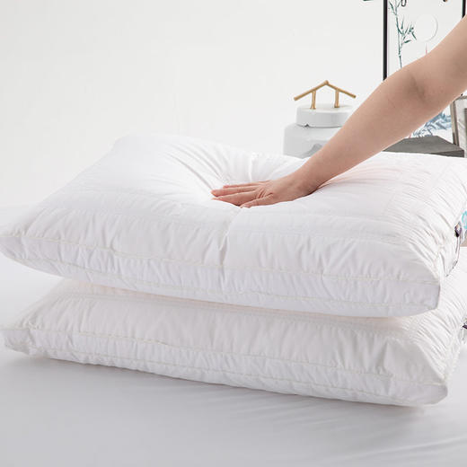 多喜爱 第三代蚕丝蛋白美眠枕cs 商品图2