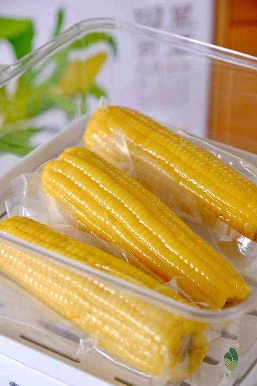 田里有草玉米，人工除草，非转基因锁鲜，独立真空包装，干净卫生 商品图2