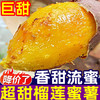 【拼团13.8元/箱】网红榴莲蜜薯 香糯甜 (生地瓜) 1箱 (重约3.8斤)【2日内提货】 商品缩略图1