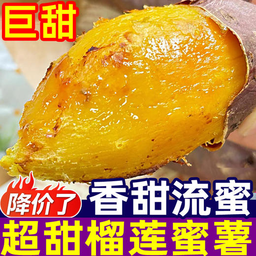 【拼团13.8元/箱】网红榴莲蜜薯 香糯甜 (生地瓜) 1箱 (重约3.8斤)【2日内提货】 商品图1