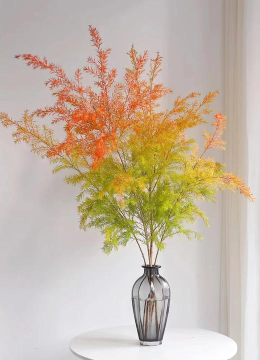 秋色千层金的感觉🍁一半夏末一半秋
姿态舒展自然✨叶片薄细如鸟羽
黄绿交叠带着满满的气质和童话感
像把秋黄和夏绿，都留在了家里，2-3支/束 商品图0