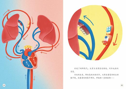 《发生在人体里的科普童话》（共6册） 商品图10