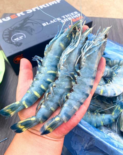 船冻黑虎虾  丰富虾青素 鲜甜肉紧 口感超赞  2.5斤/盒 商品图8