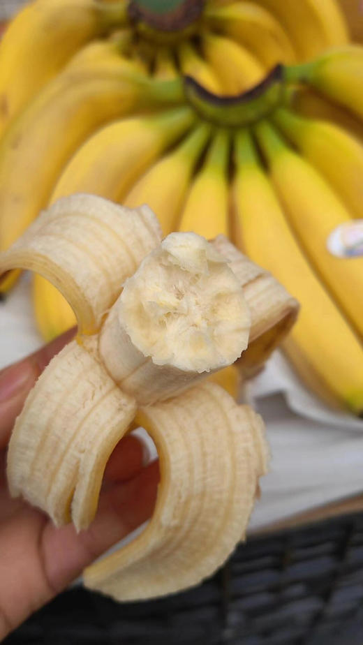 菲律宾香蕉（散） 商品图0