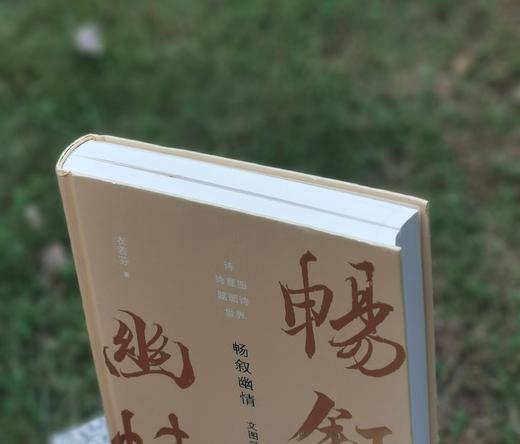 《畅叙幽情：文图学诗画四重奏》，衣若芬著，开本：787mm×1092mm 16开，精装，380页，西泠印社出版社2022年7月一版一印。定价：248.00元，有两本版本可选精装毛边本，特惠价124元， 商品图1