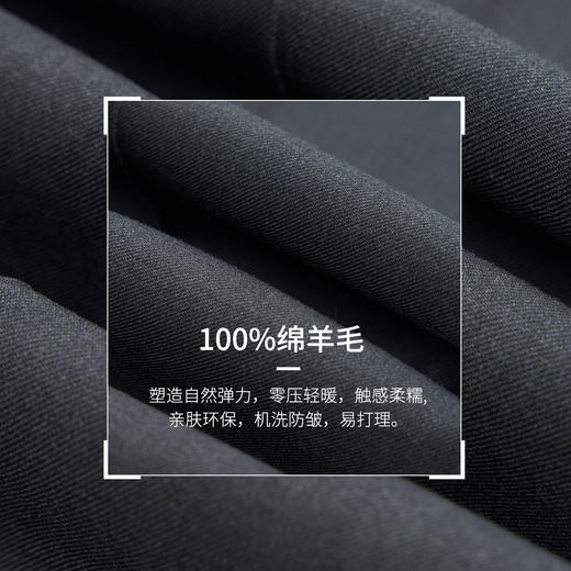 【大师金标】100%绵羊毛免腰带高档西裤247Z0S815N 商品图4