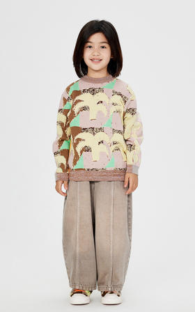 jnby  24年冬款    长袖套头毛衫  1O0312050